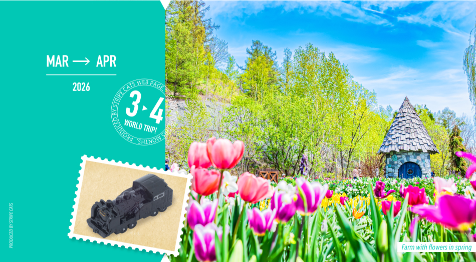 �X�g���C�v�L���b�c